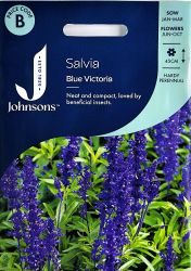 Salvia Blue Victoria Seeds